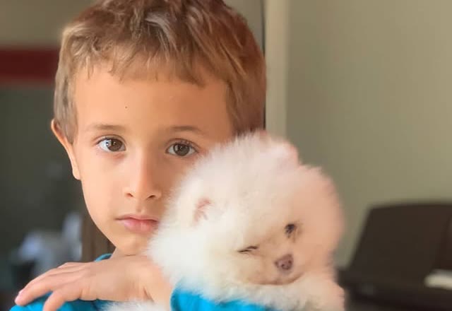Juniper, Pomeranian puppy adopted by Daniel R.